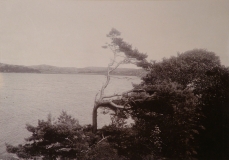 Västerskog Särö. Bild 30180.