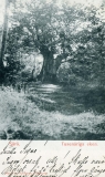 Västerskog Särö. Bild 40112.